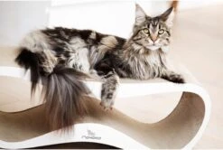 MyKotty LUI - Krabpaal - Wit - 75 X 25 Cm -Kattenbenodigdheden Winkel 1200x806 4