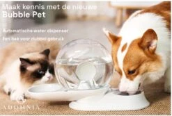 AdomniaGoods - Automatische Katten Voerbak - Antislip Honden Voerbak - Unique Transparant/grijs Design - Altijd Hygiënisch Schoon Water! -Kattenbenodigdheden Winkel 1200x810 3