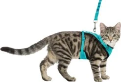 Trixie Kattentuig Mesh Y-vorm Met Elastische Riem (36-60X100 CM) -Kattenbenodigdheden Winkel 1200x821 3