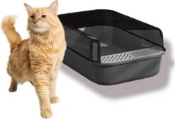 Merkloos Kattenbak - Zwart - Open - Incl. Schep - Modern - Hip - Trendy - Design Kattenbak 11 Merkloos Kattenbak - Zwart - Open - Incl. Schep - Modern - Hip - Trendy - Design Kattenbak -Kattenbenodigdheden Winkel 1200x823 1