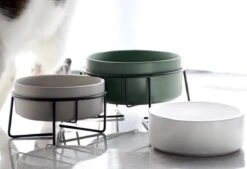 GIZMO 2x Voerbak Kat - 400 Ml - Groen - Keramische Drink- & Voerbakken Met Standaard - 13 Cm - 2 Stuks 23 GIZMO 2x Voerbak Kat - 400 Ml - Groen - Keramische Drink- & Voerbakken Met Standaard - 13 Cm - 2 Stuks -Kattenbenodigdheden Winkel 1200x823