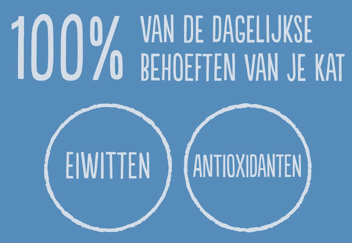 Felix Original Mix Senior 7+ In Gelei - Katten Natvoer - 4x12x85 Gr 4 Felix Original Mix Senior 7+ In Gelei - Katten Natvoer - 4x12x85 Gr - Afbeelding 4