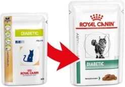 Royal Canin Diabetic Kat Natvoer 12x85 G 8 Royal Canin Diabetic Kat Natvoer 12x85 G -Kattenbenodigdheden Winkel 1200x842 1
