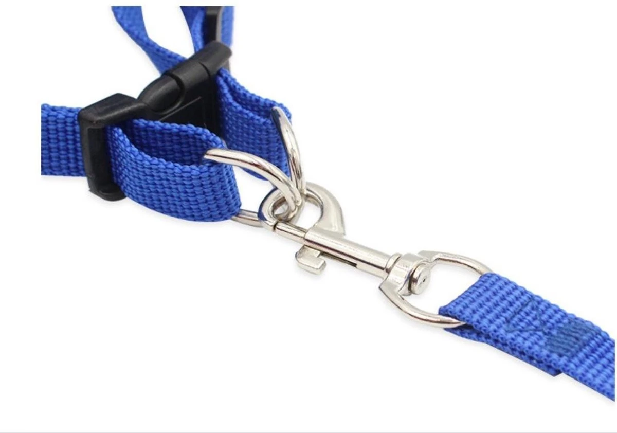 Merkloos Verstelbaar Kattentuigje Reflecterend - Kattenharnas - Kattentuig Met Looplijn - Blauw - Maat S 2 Merkloos Verstelbaar Kattentuigje Reflecterend - Kattenharnas - Kattentuig Met Looplijn - Blauw - Maat S - Afbeelding 2