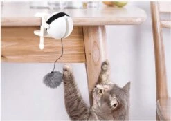 Merkloos Kattenhengel - Elektrisch Kattenspeelgoed - Kattenspeeltjes - Automatische Hengel - Kitten Speelgoed - Interactief Kattenspeelgoed - Bal - Katten - Poesjes - Kitten - Kat - Kattenbal - Kattenspeeltjes Intelligentie 7 Merkloos Kattenhengel - Elektrisch Kattenspeelgoed - Kattenspeeltjes - Automatische Hengel - Kitten Speelgoed - Interactief Kattenspeelgoed - Bal - Katten - Poesjes - Kitten - Kat - Kattenbal - Kattenspeeltjes Intelligentie -Kattenbenodigdheden Winkel 1200x852 1