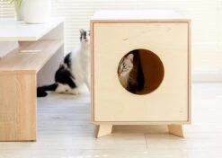 Catandwood Kattenhuis - Kattenbakcontainer - Kattenbak Ombouw - Hout -Kattenbenodigdheden Winkel 1200x857 2
