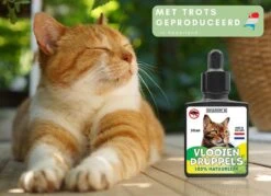 Natuurlijke Vlooiendruppels Voor Katten - Vanaf 4 Kg - 100% Natuurlijk - Vlooien - Zonder Giftige Pesticiden - 30 Ml - Speciale Formule Voor Katten - Vachtdruppels - Made In Holland -Kattenbenodigdheden Winkel 1200x872 2