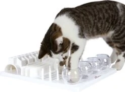 Trixie Cat Activity Fun Bord - 40X30 CM -Kattenbenodigdheden Winkel 1200x883 3