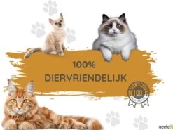 Merkloos Katten Anti Krab XXL Vellen - 10 Stuks - Met NeeleG Springveren - Meubelbescherming - Diervriendelijk - Geen Krabschade Aan Meubels - Bankbescherming - Enkelzijdig Klevend En Transparant - Zonder Punaises - Krabpaal - Anti Scratch - 30x45 CM -Kattenbenodigdheden Winkel 1200x898 5