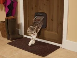 PetSafe Staywell Microchip Kattenluik - Bruin -Kattenbenodigdheden Winkel 1200x900 11