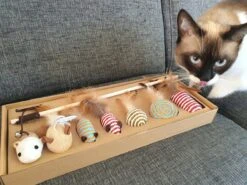 Make Life Beautiful® - Kattenspeeltjes Set - 7-delig - Kattenspeelgoed - Kattenhengel - Speelmuisjes - Kattenspeelgoed Set 15 Make Life Beautiful® - Kattenspeeltjes Set - 7-delig - Kattenspeelgoed - Kattenhengel - Speelmuisjes - Kattenspeelgoed Set -Kattenbenodigdheden Winkel 1200x900 2