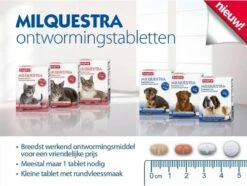 Beaphar Milquestra Ontworming Tabletten Kat 2 - 12 Kg 4 Tabletten -Kattenbenodigdheden Winkel 1200x904 3
