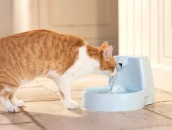 Petsafe Drinkwell Platinum - Drinkfontein - 5 L -Kattenbenodigdheden Winkel 1200x905 6
