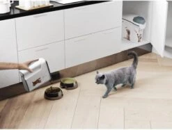 Curver Voercontainer Kat - 6 L -Kattenbenodigdheden Winkel 1200x910 4