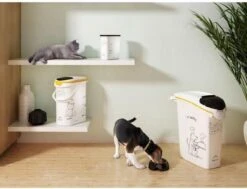 Curver Voedselcontainer Kat - 10 L 16 Curver Voedselcontainer Kat - 10 L -Kattenbenodigdheden Winkel 1200x917 3