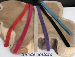 Beeztees Kattenbandje Suede - Zwart -Kattenbenodigdheden Winkel 1200x918 1