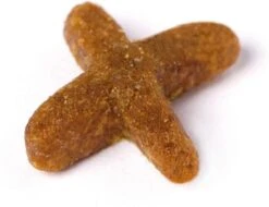 Prins VitalCare Indoor 5 Kg - Kat 26 Prins VitalCare Indoor 5 Kg - Kat -Kattenbenodigdheden Winkel 1200x922