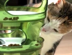 Cat-It Senses 2.0 Food Tree - Wit/Groen - Voerbak - Ø 35 Cm -Kattenbenodigdheden Winkel 1200x923 3