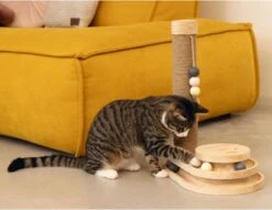 Designed By Lotte Krabpaal Inez 38 X 24,5 X 47,5 Cm -Kattenbenodigdheden Winkel 1200x926 2