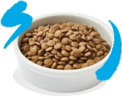 Edgard & Cooper Kattenvoer Adult Zalm 4 Kg -Kattenbenodigdheden Winkel 1200x936