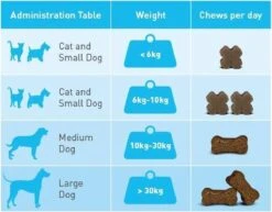 Kattenbenodigdheden Winkel -Kattenbenodigdheden Winkel 1200x937 1