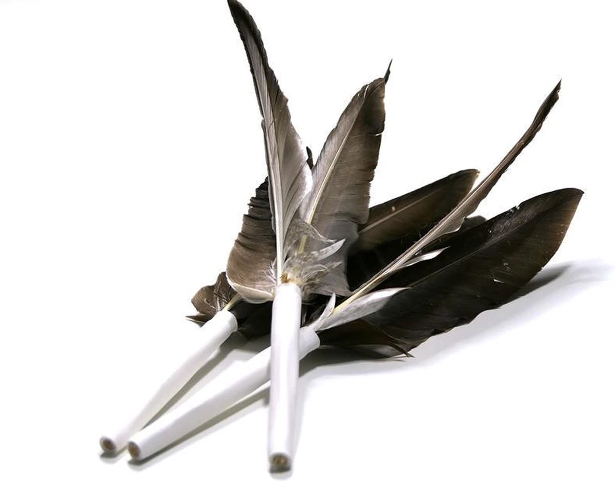 Tabby Tijger Happy After - Kattenspeelgoed - Beloningsspeeltje - Veren 1 Tabby Tijger Happy After - Kattenspeelgoed - Beloningsspeeltje - Veren