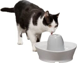 PetSafe® Streamside Ceramic Pet Fountain - Keramische Drinkfontein Voor Katten En Kleine Honden - Water Borrelt Zacht Over De Toren - Door Het Design Van Alle Kanten Bereikbaar - 1,8 Liter - PetSafe Streamside -Kattenbenodigdheden Winkel 1200x983 1