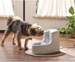 Petsafe Drinkwell Platinum - Drinkfontein - 5 L -Kattenbenodigdheden Winkel 1200x986 1