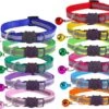 Petsify - Kattenhalsband Met Belletje - Veiligheidssluiting - Reflecterend - Halsband Kat - Halsband Kitten - Set Van 11