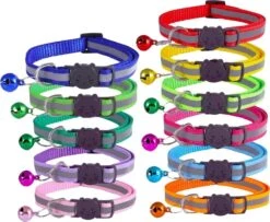 Petsify - Kattenhalsband Met Belletje - Veiligheidssluiting - Reflecterend - Halsband Kat - Halsband Kitten - Set Van 11