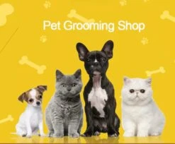 Honden Verzorging Set En Ontharing Kit. Huisdieren Grooming Gereedschap -Kattenbenodigdheden Winkel 1200x992