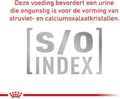 Royal Canin Veterinary Diet Cat Anallergenic - Kattenvoer - 4 Kg -Kattenbenodigdheden Winkel 1200x998