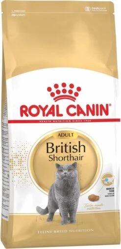 Royal Canin British Shorthair Adult - Kattenvoer - 2 Kg 24 Royal Canin British Shorthair Adult - Kattenvoer - 2 Kg -Kattenbenodigdheden Winkel 586x1200