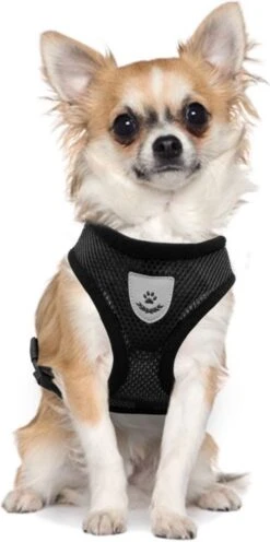 Ease Store Kattentuigje – Maat M – Met Looplijn – Kittentuigje – Dierentuigje – Hondentuigje – Reflecterend – Zwart -Kattenbenodigdheden Winkel 597x1200 1