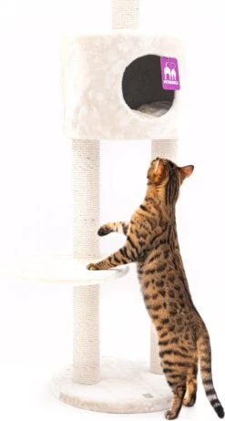 Petrebels Anna 240 Krabpaal - Creme - 240 Tot 265 Cm - Met Plafondspanner -Kattenbenodigdheden Winkel 641x1200