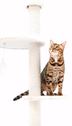 Petrebels Anna 240 Krabpaal - Creme - 240 Tot 265 Cm - Met Plafondspanner -Kattenbenodigdheden Winkel 686x1200 1