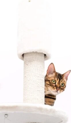 Petrebels Anna 240 Krabpaal - Creme - 240 Tot 265 Cm - Met Plafondspanner -Kattenbenodigdheden Winkel 690x1200 2