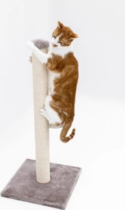 Petrebels Maine 90 Krabpaal - Cappuccino - 40 X 40 X 90 Cm - Extra Stabiel -Kattenbenodigdheden Winkel 717x1200 1