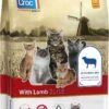 Carocroc Kat Lam - 7 Kg Met Gratis Catessy Stick