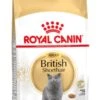 Royal Canin British Shorthair Adult - Kattenvoer - 2 Kg