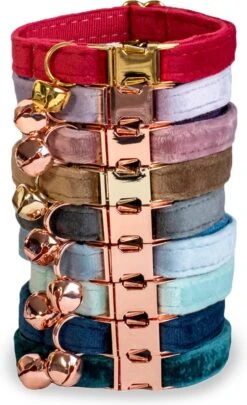 ACE Pets Kattenhalsband Met Belletje – Halsband Kat & Kitten - Kittenhalsband & Kattenbandje - Kattenbelletje - Pluche Velvet - Groen -Kattenbenodigdheden Winkel 731x1200 2