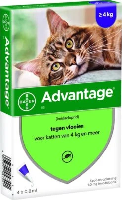Bayer Anti Vlooienmiddel Advantage 80 > 4 Kg - 4 X 0,8 Ml 31 Bayer Anti Vlooienmiddel Advantage 80 > 4 Kg - 4 X 0,8 Ml -Kattenbenodigdheden Winkel 734x1200 2