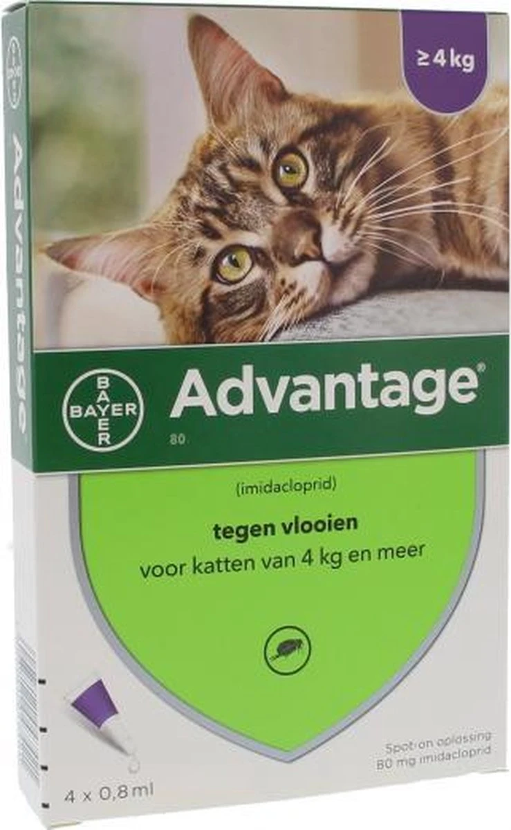 Bayer Anti Vlooienmiddel Advantage 80 > 4 Kg - 4 X 0,8 Ml 5 Bayer Anti Vlooienmiddel Advantage 80 > 4 Kg - 4 X 0,8 Ml - Afbeelding 5