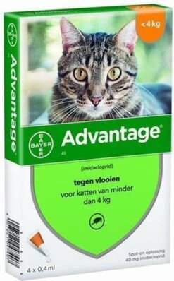 Bayer Anti Vlooienmiddel Advantage 80 > 4 Kg - 4 X 0,8 Ml 20 Bayer Anti Vlooienmiddel Advantage 80 > 4 Kg - 4 X 0,8 Ml -Kattenbenodigdheden Winkel 744x1200