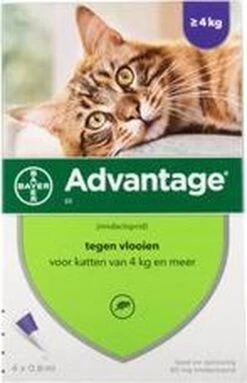 Advantage 80 Vlooiendruppelsl Kat Vanaf 4 Kg - 4 Pipetten -Kattenbenodigdheden Winkel 773x1200