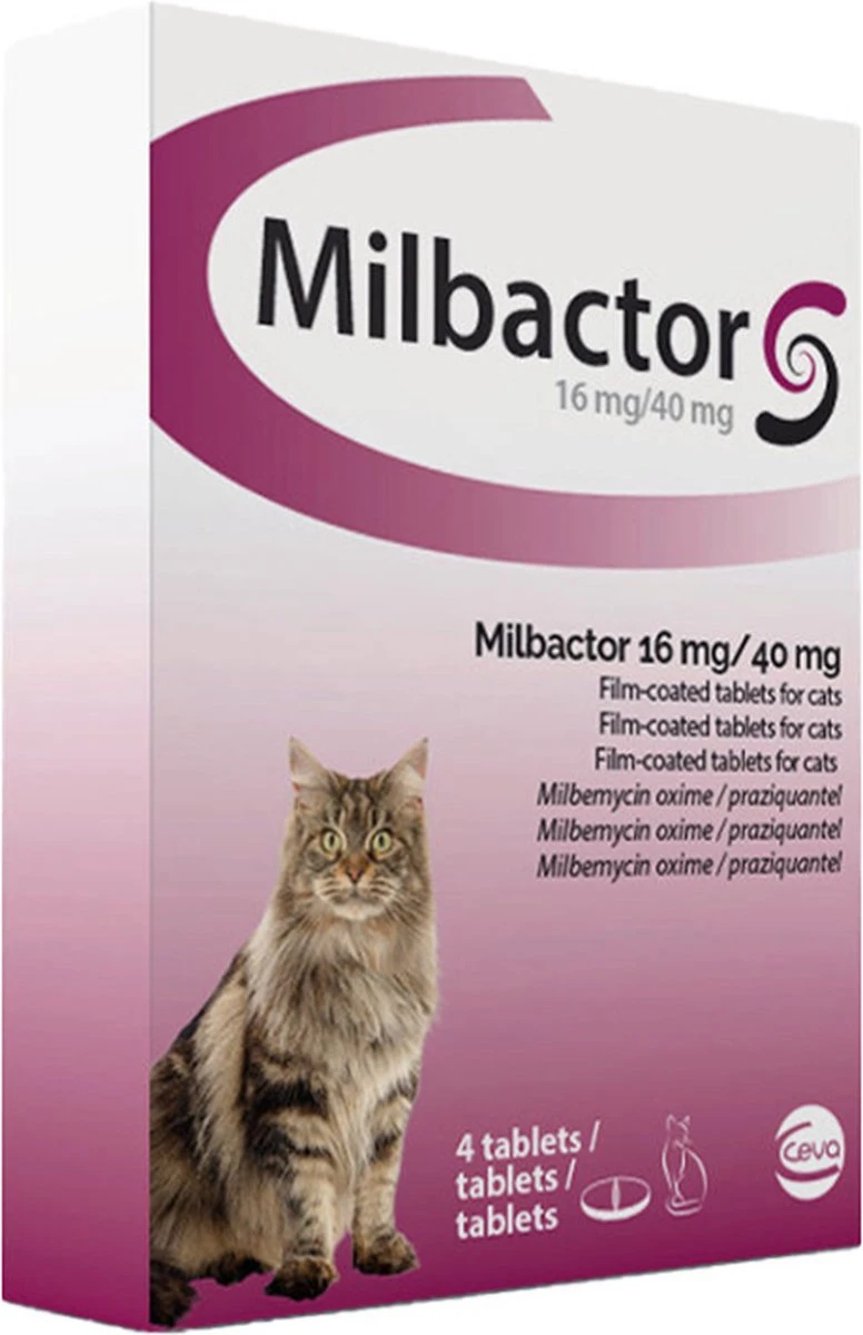Milbactor Grote Katten 4 Tabletten 1 Milbactor Grote Katten 4 Tabletten