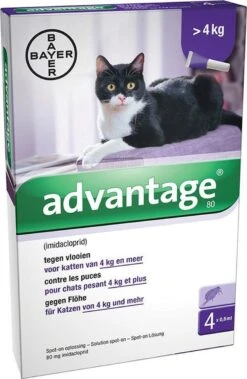 Bayer Anti Vlooienmiddel Advantage 80 > 4 Kg - 4 X 0,8 Ml 33 Bayer Anti Vlooienmiddel Advantage 80 > 4 Kg - 4 X 0,8 Ml -Kattenbenodigdheden Winkel 783x1200 1