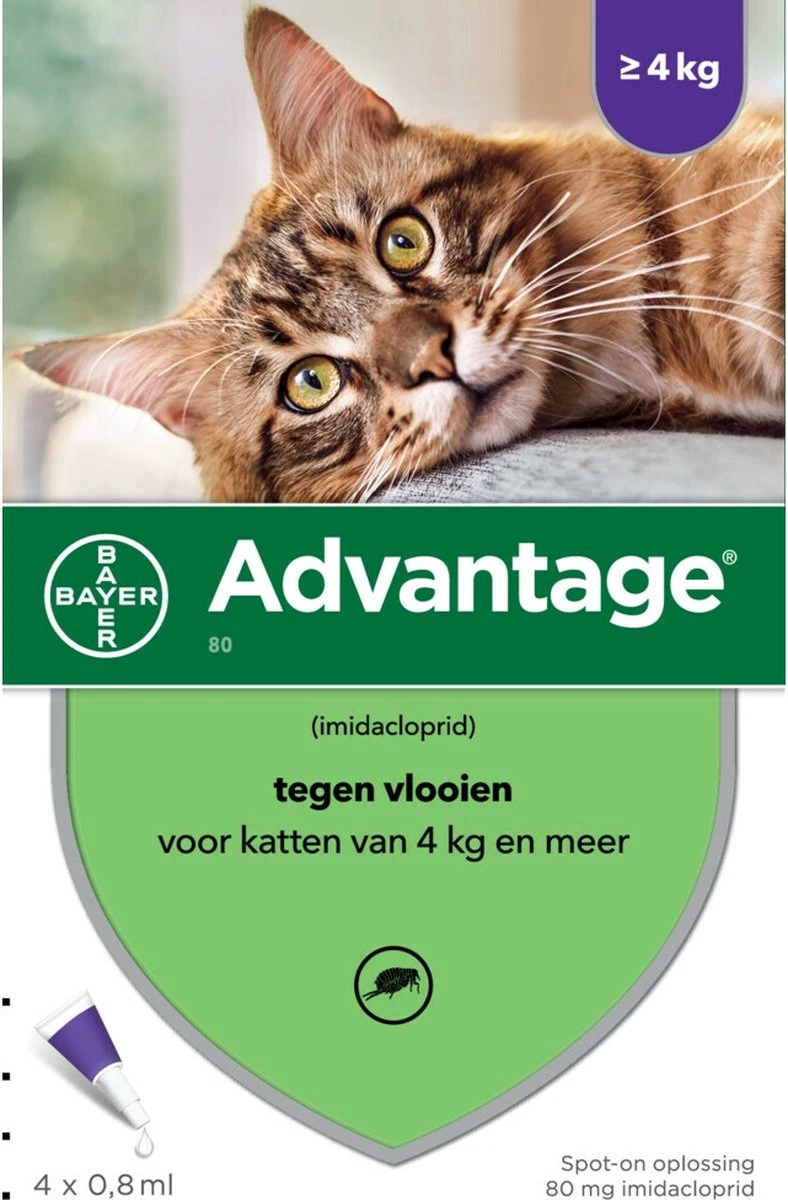 Bayer Anti Vlooienmiddel Advantage 80 > 4 Kg - 4 X 0,8 Ml 1 Bayer Anti Vlooienmiddel Advantage 80 > 4 Kg - 4 X 0,8 Ml