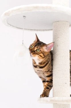 Petrebels Anna 240 Krabpaal - Creme - 240 Tot 265 Cm - Met Plafondspanner -Kattenbenodigdheden Winkel 795x1200 1