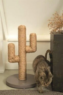 Designed By Lotte Houten Cactus - Krabpaal - Taupe - 35 X 35 X 60 Cm -Kattenbenodigdheden Winkel 798x1200 3
